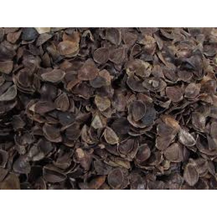 Buckwheat Hulls husks organic pillows